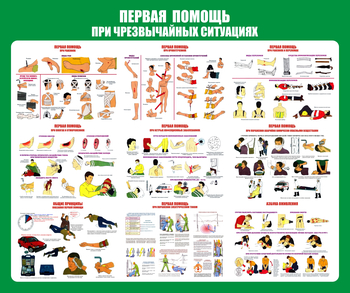 С20-1 Стенд Оказание первой помощи при ЧС (670х800 мм, пластик ПВХ 3 мм, алюминиевый багет серебряного цвета) - Стенды - Стенды по первой медицинской помощи - ohrana.inoy.org